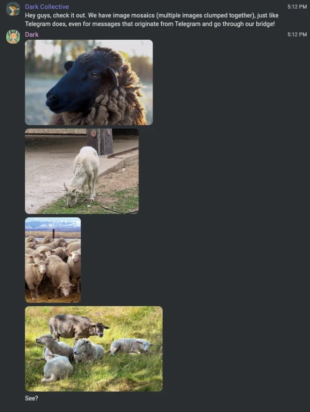 Commet showing the same four sheep photos stacked one above the other, filling the whole screen
